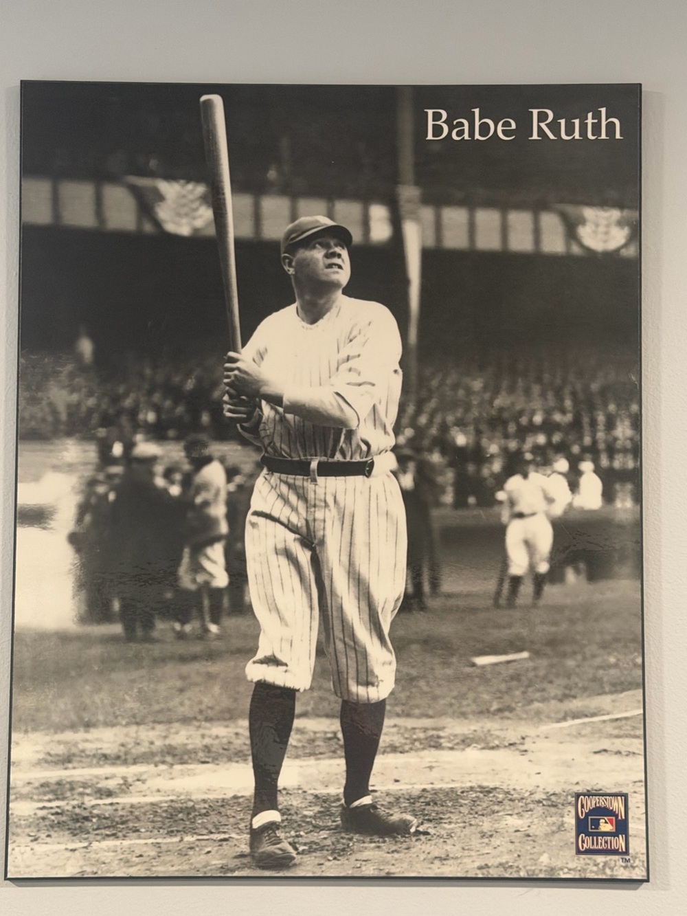 NY Yankees Bambino Babe Ruth Cooperstown Collection 12 x 9 Frame Photo rare
